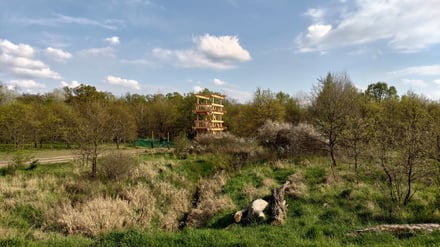 Zieleń i Sport we Wrocławiu na Maślicach – budowa wieży do obserwacji ptaków